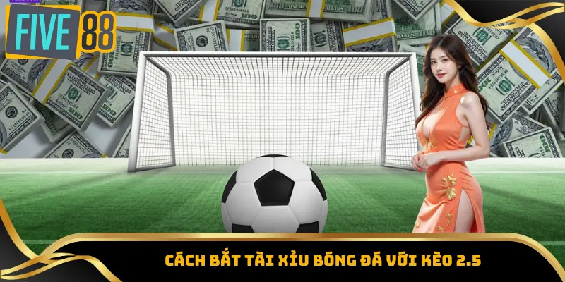 Cách Bắt Tài Xỉu Bóng Đá - Tăng Tỷ Lệ Thắng Nhanh Chóng 4 Cách bắt tài xỉu bóng đá với kèo 2.5